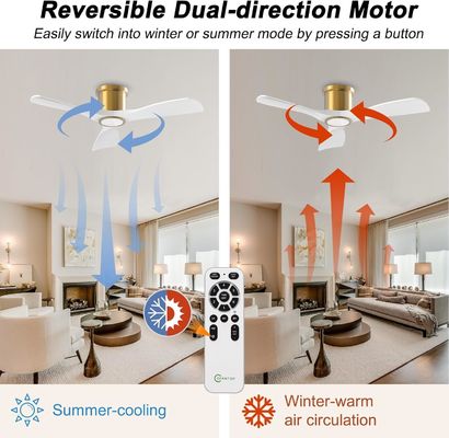 3000K Zwarte 52 inch plafondventilator met licht efficiënte omkeerbare DC-motor