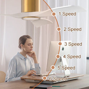 3000K Zwarte 52 inch plafondventilator met licht efficiënte omkeerbare DC-motor